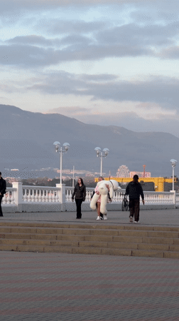 Quiet afternoon captured at Gelendzhik's scenic Russian coastline
