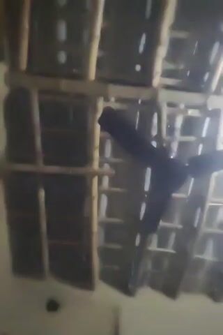 The video shows a ceiling fan with dark blades rotating in what appears to be an unfinished or rustic room. The ceiling is constructed of bamboo or wooden beams, with a lighter colored material filling the spaces between them, creating a grid-like pattern. A bright light source is visible, casting glare and illuminating parts of the room. The camera angle is looking upwards at the ceiling fan. The overall impression is of a basic interior structure.
