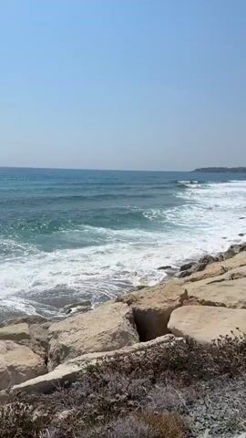 The video shows a wide shot of a rocky shoreline with waves crashing onto the shore. The sky is clear and blue. The water is a deep blue-green color and the waves are white and foamy. The rocks are light brown and grey and are scattered along the shoreline. There are some dry plants growing in front of the rocks. The video is shot from a slightly elevated position, looking down towards the ocean. The overall impression is one of a natural and peaceful environment.