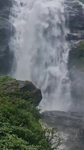 The video shows a close-up view of a powerful waterfall cascading down a rocky cliff face. Lush green vegetation, including bushes and trees, surrounds the lower portion of the waterfall and the cliff. The water is white and frothy as it plunges downwards, creating a mist that partially obscures the rocks. The sky above appears overcast.