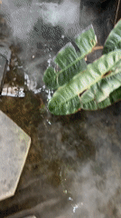 Decorative pond with stepping stones spotted at Nha Trang building entrance