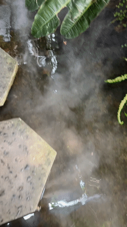 Decorative pond with stepping stones spotted at Nha Trang building entrance