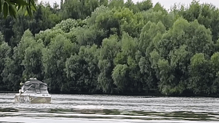 Summer day on the Moscow River: water, boats, and wildflowers