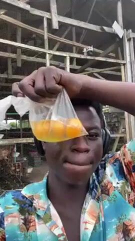 A young, dark-skinned man with headphones is holding a clear plastic bag full of raw eggs up to his forehead while standing outside. He is wearing a colorful short-sleeved shirt. Behind him is a chicken coop structure with chickens visible inside. The man makes an expressive face toward the camera.