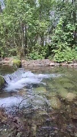 The video shows a serene natural scene in Kipen, Russia, during the daytime. It begins with a close-up of a clear stream with a small waterfall or rapids, indicating flowing water. The water reveals a rocky bottom, and the banks are lush with green foliage and trees. The camera then pans right to reveal a white gazebo with green curtains, positioned at the edge of the stream. The gazebo has white lattice railings and appears to be a peaceful spot, nestled among the trees and greenery. The overall impression is one of tranquility and natural beauty.