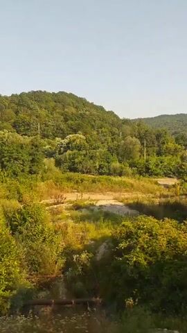 The video shows a landscape view from a moving vehicle, likely a train or car, as indicated by the blurred foliage and the passing scenery. The scene is dominated by lush green trees and vegetation, suggesting a rural or natural environment. The sky is clear and blue. The perspective is from a side window, with the camera capturing the continuous movement of trees and hills. In the distance, a hilly terrain covered with trees is visible, under a clear sky. The foreground is filled with the blur of green leaves and branches, indicating speed. There are no people or man-made structures prominently visible in the frame, except for a utility pole with wires in the mid-distance. The lighting suggests it is daytime, likely late morning or afternoon, with the sun casting shadows.