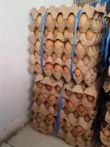 The video shows stacks of brown egg cartons filled with brown eggs. The cartons are stacked on top of each other and secured with blue straps. The eggs are mostly light brown and appear to be whole and intact. The cartons are made of cardboard and are designed to hold individual eggs. The video is filmed from a medium distance, showing the eggs and cartons in a well-lit environment. There are no people visible in the video. The background appears to be a wall with some texture and a corner where the wall meets the floor. There is a glimpse of what might be another stack of egg cartons to the right of the main stack. The scene suggests a storage or preparation area for eggs.