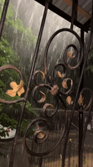 Heavy rainfall observed through decorative fence in Tashkent