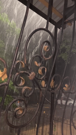 Heavy rainfall observed through decorative fence in Tashkent