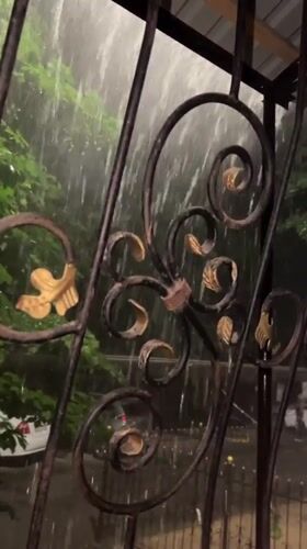 Heavy rainfall observed through decorative fence in Tashkent