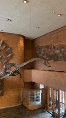 Moscow museum visitors explore dinosaur exhibits during afternoon tour