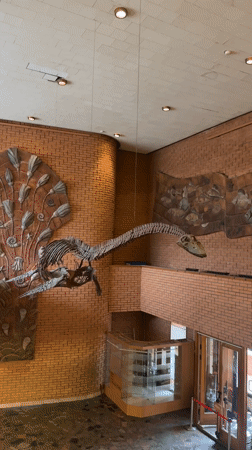 Moscow museum visitors explore dinosaur exhibits during afternoon tour