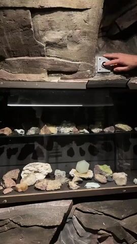 A hand presses a button on a wall above a display case of rocks. The lights turn off, plunging the scene into darkness. Then, blacklights illuminate the rocks, causing some of them to glow with vibrant green and blue colors.
