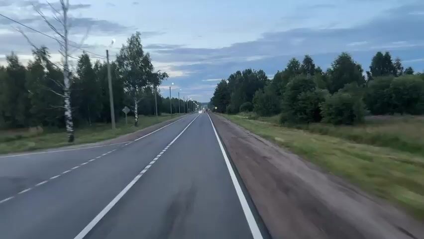 A POV video shows a car driving on a road at dusk. The road is paved with white lines. There are trees on both sides of the road. There are also streetlights and a few other cars on the road in the distance. The sky is cloudy and the light is fading.