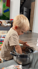 Quiet home morning: cooking, a kid, a dog, and the yard