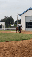 Horse training session observed at Nigerian equestrian arena