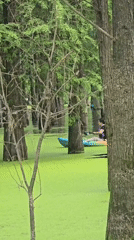 Morning recreation at Lin'an wetland park draws kayakers, wildlife