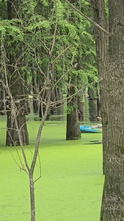 Morning recreation at Lin'an wetland park draws kayakers, wildlife