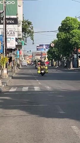 A wide-angle video captures a sunlit street scene with a few motorcycles. The camera is positioned low to the ground, looking down an asphalt road with a pedestrian crossing in the foreground. The road is lined with buildings and trees. In the distance, several motorcycles are visible, two of which are in motion. The first motorcycle, closer to the camera and moving away, has a rider wearing a patterned shirt and a helmet. Further down the road, another motorcycle is approaching, also with a rider in a helmet. The atmosphere appears calm with minimal traffic.