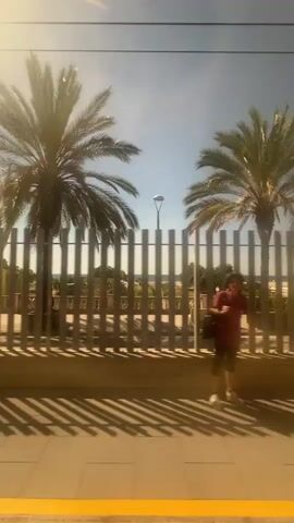 The video shows a view from inside a moving train, looking out the window. Outside, a metal fence runs alongside the tracks, with palm trees visible beyond the fence, lining a beach. The beach and ocean are visible in the background. There are signs and lampposts along the fence. The sky is blue and clear, with bright sunlight casting shadows from the fence onto the ground.