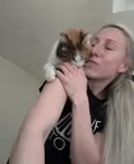 Women interact affectionately with domestic cats in indoor settings