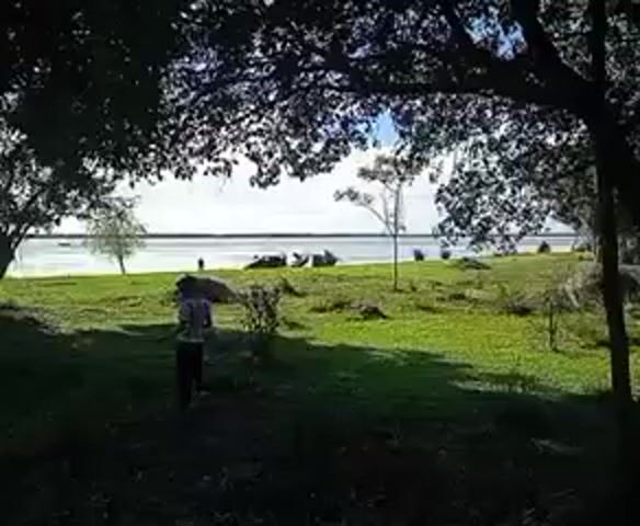 The video shows a person standing in a grassy area under the shade of trees, near a body of water. The person is holding a stick and an umbrella. In the background, there is a grassy shoreline with several tents or shelters set up. The water is visible in the distance. The sky is somewhat bright, and there are trees scattered around the grassy area. The camera appears to be stationary.