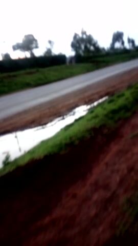 The video is filmed vertically, showing an outdoor scene from a slightly elevated or angled perspective. A narrow, paved road stretches into the distance, appearing somewhat blurry. To the left of the road, the bright sky is visible, with silhouettes of trees along the horizon. To the right of the road, there's a strip of green vegetation, followed by brown dirt or earth. A small, narrow body of water, possibly a puddle or ditch filled with water, runs parallel to the road within the green area.

At the beginning of the video, a motorcycle with visible red and yellow lights can be seen approaching from a considerable distance down the road. As it gets closer, the motorcycle becomes more discernible, and a rider wearing dark clothing and a helmet is visible. The motorcycle passes by the camera's field of view from left to right, traveling along the road. The red tail lights of the motorcycle are particularly prominent as it moves past. The environment appears to be either rural or semi-rural, characterized by the trees, greenery, and the type of road. The lighting suggests it might be daytime, possibly overcast, or early morning/late afternoon.