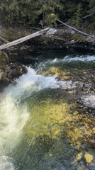 Clear mountain stream captured on video in Whistler