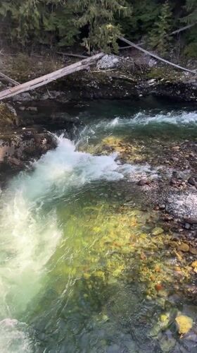 Clear mountain stream captured on video in Whistler