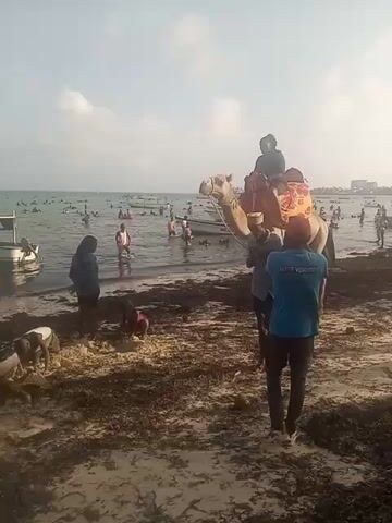 The scene shows a woman riding a camel on a beach.  There are two men with the camel, one leading it and one filming.  Other people are on the beach and in the water.  There is a lot of seaweed on the beach.
