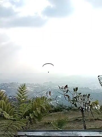 The video shows a paraglider in mid-air, descending over a hilly, populated landscape. The paraglider is silhouetted against a hazy, overcast sky with visible sun rays breaking through the clouds. In the foreground, there are blurred trees and foliage. The landscape below consists of houses, buildings, and dense vegetation, suggesting a rural or semi-urban area. The paraglider appears to be alone and is the central focus of the shot. The overall mood is calm and serene, with a sense of height and open space.