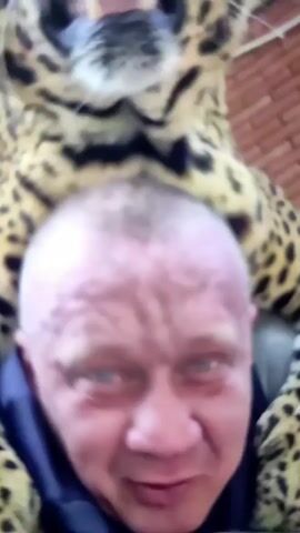A close-up, low-angle selfie-style video shows a man from the chest up. He has a shaved head with some reddish discoloration on his forehead and temples. His eyes are light blue and appear to be looking directly at the camera. He has a slight smile and is wearing a dark blue jacket or hoodie. Behind him and partially obscuring his head and shoulders is a person dressed in a jaguar costume. The costume features a spotted fur pattern and the head of the jaguar is visible over the man's head. The background is blurred but appears to be an outdoor setting with a brick wall visible. The man's facial expression suggests a degree of comfort or amusement despite the unusual proximity of the jaguar costume.