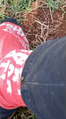 Person encounters insects while sitting in grass in Ihururu