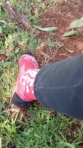 The video shows a person wearing a red and white sock and dark blue jeans sitting in a grassy area with dirt patches. A small bee or wasp crawls on the fabric of the jeans. The camera focuses closely on the insect.