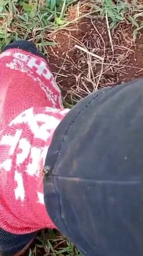 Person encounters insects while sitting in grass in Ihururu