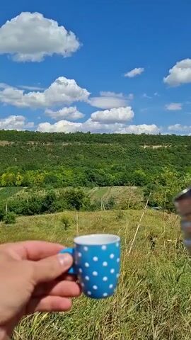 A person's hand holds a small blue and white polka dot coffee cup with a blue handle. Another hand holds a silver thermos, pouring dark liquid into the cup. The background shows a green, rolling hillside under a bright blue sky with white, puffy clouds. The terrain is covered in lush vegetation and trees.