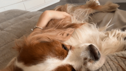 Morning domestic moments captured in Sofia home