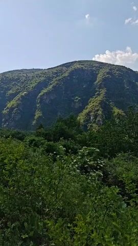 The video displays a natural landscape dominated by dense green foliage in the foreground, and multiple layers of tree-covered mountains in the mid-ground and background under a clear blue sky with scattered white cumulus clouds. The camera executes a slow, smooth horizontal pan from left to right, revealing more of the mountainous terrain. No people or artificial objects are visible.