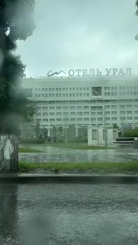 The video shows a rainy day scene, likely filmed from inside a car. In the foreground, the wet road reflects the light and surrounding environment. A tree with a whitewashed trunk is positioned to the right of the frame. Behind the tree and across the street stands a large, multi-story building with the word "УРАЛ" ("URAL") prominently displayed on its facade. The weather is overcast and rainy.