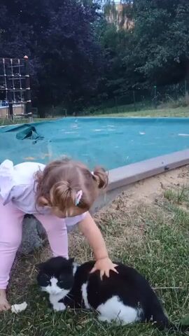 A young child with blonde hair in pigtails, wearing a white t-shirt and pink leggings, is interacting with a black and white cat lying on the grass. The child is bending down and petting the cat's head. The cat appears relaxed. In the background, there is a blue tarp-covered structure, a sandbox with a concrete border, trees, and a playground structure. The scene is outdoors during daylight hours.