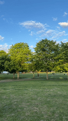 Three men walk across sunny London park field