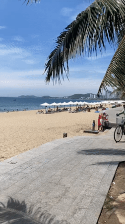 Nha Trang's palm-lined beachfront on a sunny morning