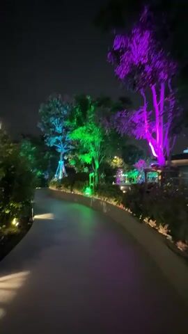 The video shows a nighttime view of a park path illuminated by colorful lights. The path curves to the right, lined with bushes and trees on either side. The trees are lit with green and purple lights, creating a vibrant and surreal atmosphere. Small spotlights are embedded along the edge of the path, casting pools of light on the ground. The sky is dark and cloudy, suggesting it is a clear night. The camera is moving forward, giving the impression of someone walking along the path. No people or animals are visible in the video. The overall scene is serene and picturesque, with the artificial lighting transforming the natural environment into an artistic display.