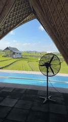 Morning rice paddies and tropical landscapes documented in North Kuta