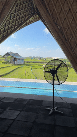 Morning rice paddies and tropical landscapes documented in North Kuta