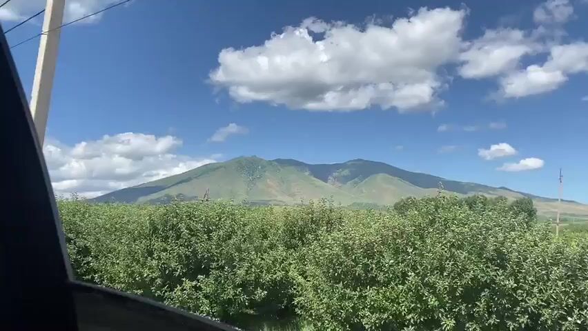 A wide-angle shot captured from a moving vehicle shows a mountainous landscape under a bright blue sky dotted with fluffy white clouds. In the foreground, lush green bushes and trees line the side of a road. A telephone pole or utility pole passes through the right side of the frame. In the distance, a large, verdant mountain dominates the horizon. The sun is shining, casting bright light on the scene. The video appears to be filmed during the daytime.