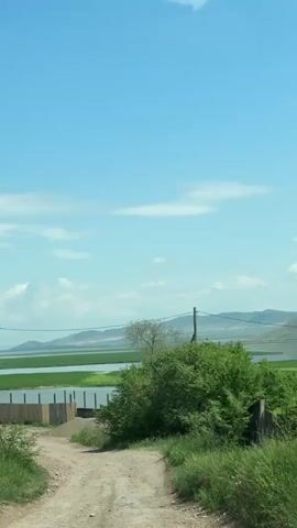 This is a vertical, first-person perspective video of a dirt road leading towards a body of water and distant hills. The sky is bright blue with a few scattered white clouds. On the left side of the road, there is a wooden fence under construction and some green bushes. On the right side, there are more green bushes and tall grass. In the mid-ground, a body of water is visible, possibly a lake or a marsh, with lush green vegetation growing on its edges. A single utility pole with wires extends across the frame. In the background, rolling hills fade into the distance under the bright sky. The overall impression is of a rural, natural landscape on a clear, sunny day.