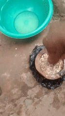 Food preparation and casual street moments captured simultaneously