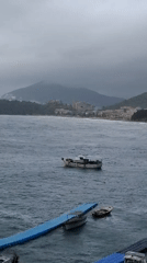 Coastal scenes and balcony flowers documented in Podličak, Montenegro