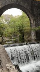 Evening documentation of Cuernavaca's water features and parks